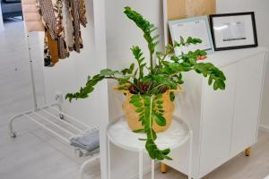 Excellent location! In the city centre, stylish apartment 1 room, kitchen and balcony