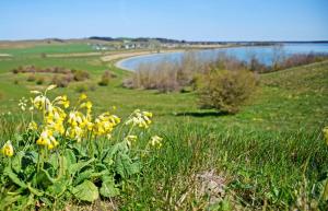 Appartementhaus mit Balkon im Ostseebad Göhren HM-ADL