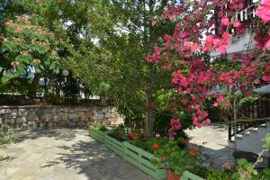 Anofli Suites Skopelos Greece