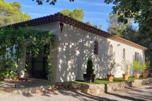 Villas Charmante Villa Ipsilon, jardin arbore provencal ! : photos des chambres