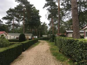 Forest Family 6 persoons op 5 sterren park