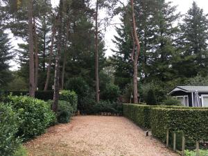 Forest Family 6 persoons op 5 sterren park