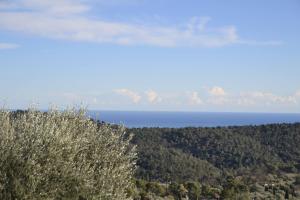 Maisons de vacances Provencal stone farmhouse with sea view, swimming pool and spa : photos des chambres