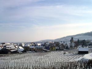 Maisons de vacances 12Sud Face Vosges Comfortable Vineyard Free Wifi : photos des chambres