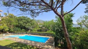 Appartements Grasse - Free Parking - Pool : photos des chambres