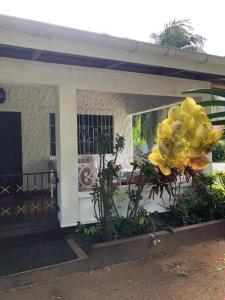 HCS Bungalows Turtle Bay Rustic Bungalow