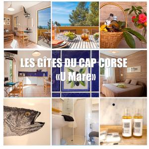 Appartements Les Gites du Cap Corse : photos des chambres