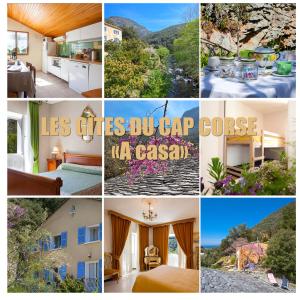 Appartements Les Gites du Cap Corse : Appartement 3 Chambres