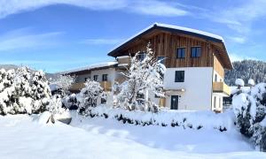 Apartments Monika - Altenmarkt