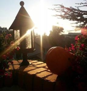 Hotel Restaurant - Häuserl im Wald Graz