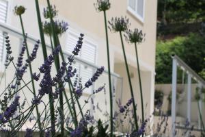 Apartments Lavanda