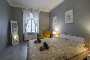 Cozy City Center Apartment