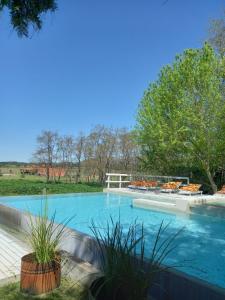Mandarina suites