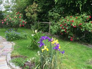 Maisons de vacances Le Galvani : photos des chambres