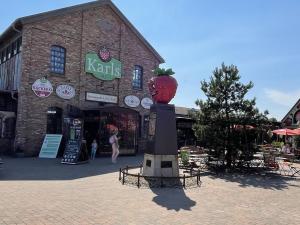 Bernsteinhaus Whg 1, strandnah mit Kamin und WLAN