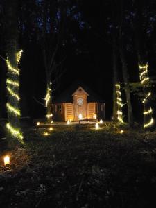 Chalets Le Domaine Insolite de Broceliande : photos des chambres
