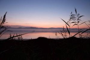 Shorepark - waterfront cottage with stunning views