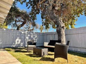 San Diegos Best Zoo, SeaWorld and Downtown Nearby