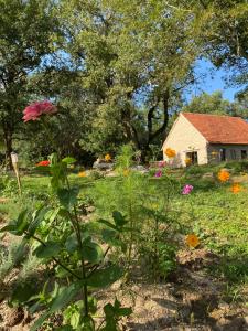 B&B / Chambres d'hotes Le Domaine Quercus : photos des chambres