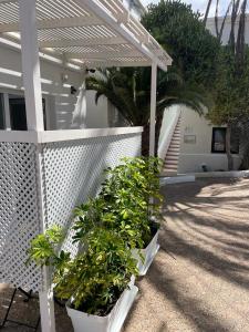 Apartamentos Punta Elena Beach