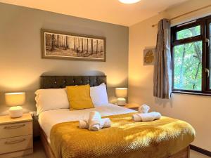 PrancingHare Lodge-Woodland Lodges-Pembrokshire