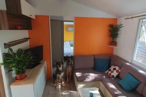 Appartements Mobil home au calme en provence : photos des chambres