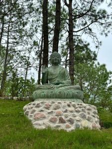 Chillaru Spa & Resort