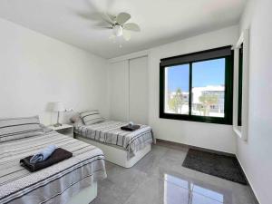 ALEGRANZA 204 by JK Lanzarote