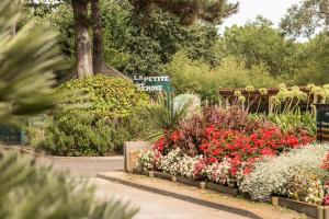 Appartements Village Moliets - maeva Home - Appartement 2 Pieces 5 Personnes Confort MAE-4322 : photos des chambres