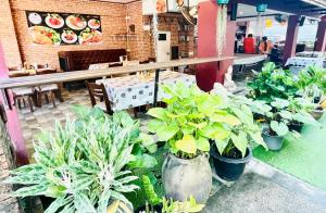 THE TOP PATONG RESORT.