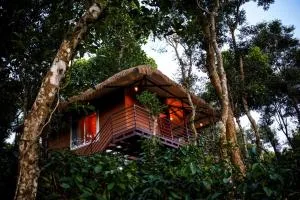 Coffee Cradle Wayanad Luxuorios Private Tree House - Inside 2 Acre Coffee Plantation - Mānantoddy
