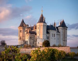 Maisons de vacances Magnifique Maison en plein Saumur : photos des chambres