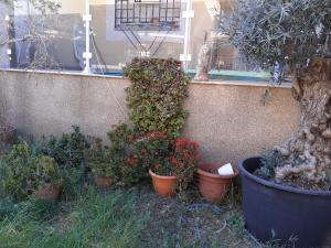 Amanecer marino, solo a 5 minutos andando de la playa