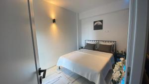 Q Luxury Apartment - Palas Center