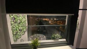 QApartment - Palas center