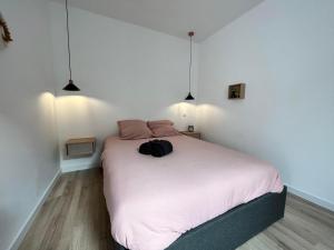 Appartements L-escale Amienoise Loft : photos des chambres