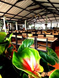 Hotel Campestre El Triunfo