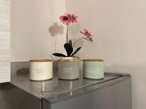 HappyHome Bilocale centro storico Rivarolo Canavese