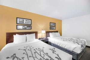 Standard Queen Room with Two Queen Beds - Non-Smoking room in Sleep Inn & Suites Carlsbad Caverns Area