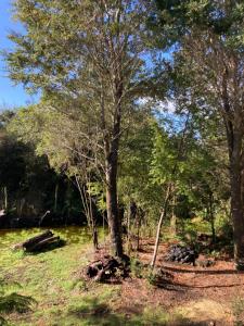 El Viloche - Tiny House