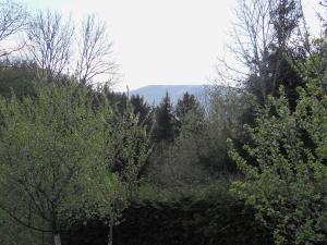 Maisons de vacances Gite Saint-Die-des-Vosges, 2 pieces, 2 personnes - FR-1-589-177 : photos des chambres