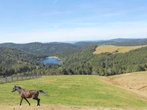 Maisons de vacances Gite Saint-Die-des-Vosges, 2 pieces, 2 personnes - FR-1-589-177 : Maison de Vacances (2 Adultes)