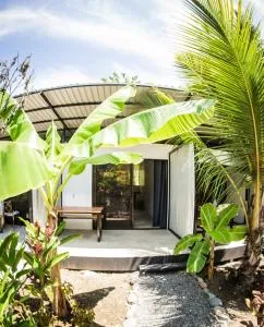 Luz de Estrella Studios - Cabuya