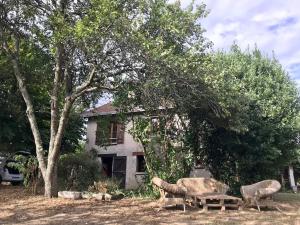 Maisons de vacances Maison chaleureuse et calme : photos des chambres