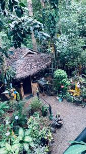 Jungleview Home Stay