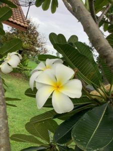 NaLinNaa Resort Buriram ณลิ์ณน่า รีสอร์ท บุรีรัมย์