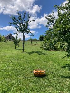 B&B / Chambres d'hotes Les Herbes Flottantes : photos des chambres