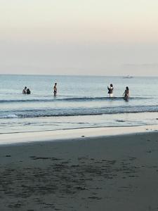 Seaside Beach Resort