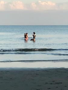 Seaside Beach Resort