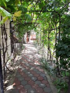La Casa Mircea Rudicica, apartament cu doua camere